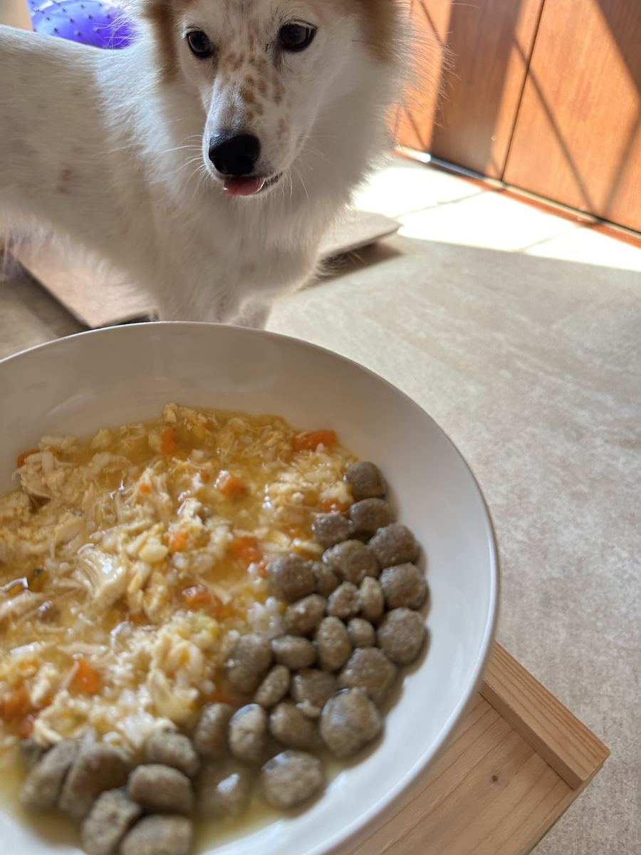 朝ごはんの前。もう舌が出とる。