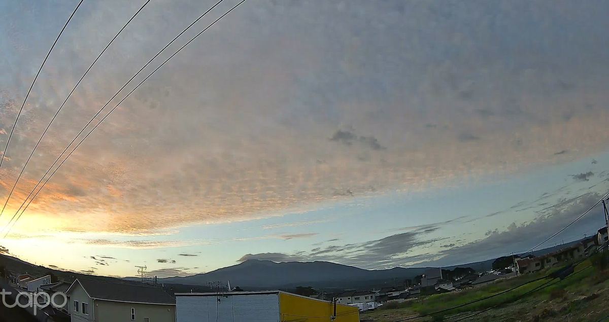 うろこの一粒ずつに桃色が乗って、魚の腹みたいな空。