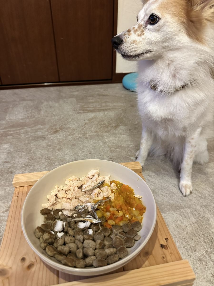 夜ごはんの横顔の待て。煮干しがきらきら。皿はツルツルになった。
