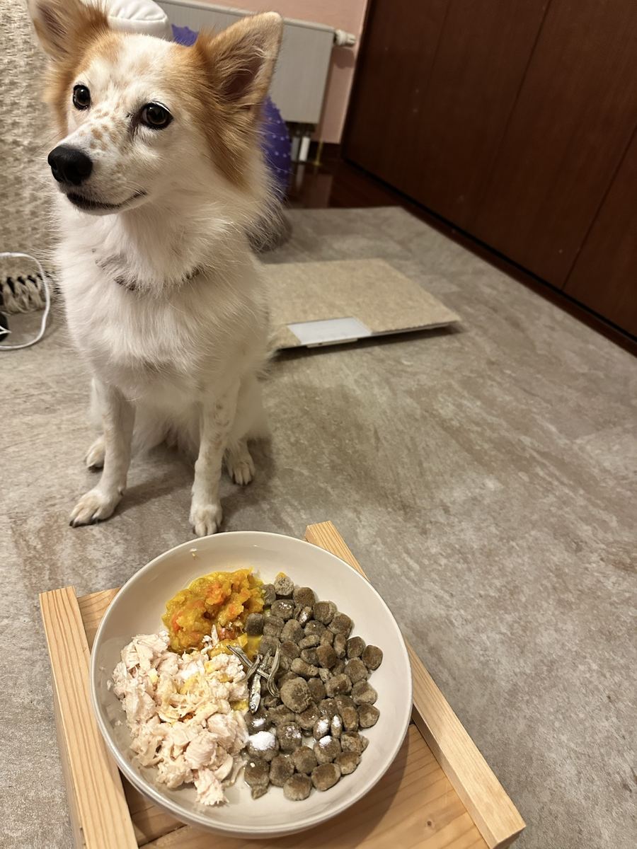 夜ごはんの待て顔。皿に残った黄色い数粒の犯人は、ご飯が無い分と野菜を多めに入れとったうちの人の優しさやった。