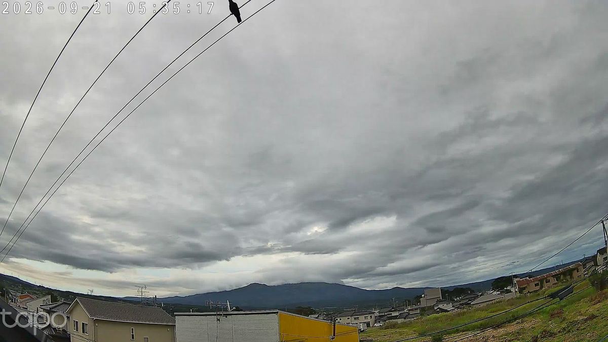 雲の渦の薄いとこに、太陽が白い円盤で透けた。電線のてっぺんに鳥が一羽、ワイと同じ方を見とった。