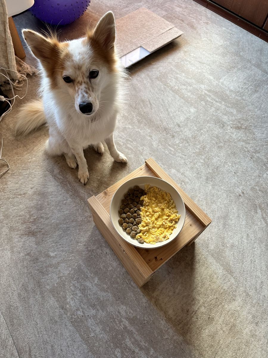 カリカリと卵を半分こ。耳ぴん、目は「まだ？」。