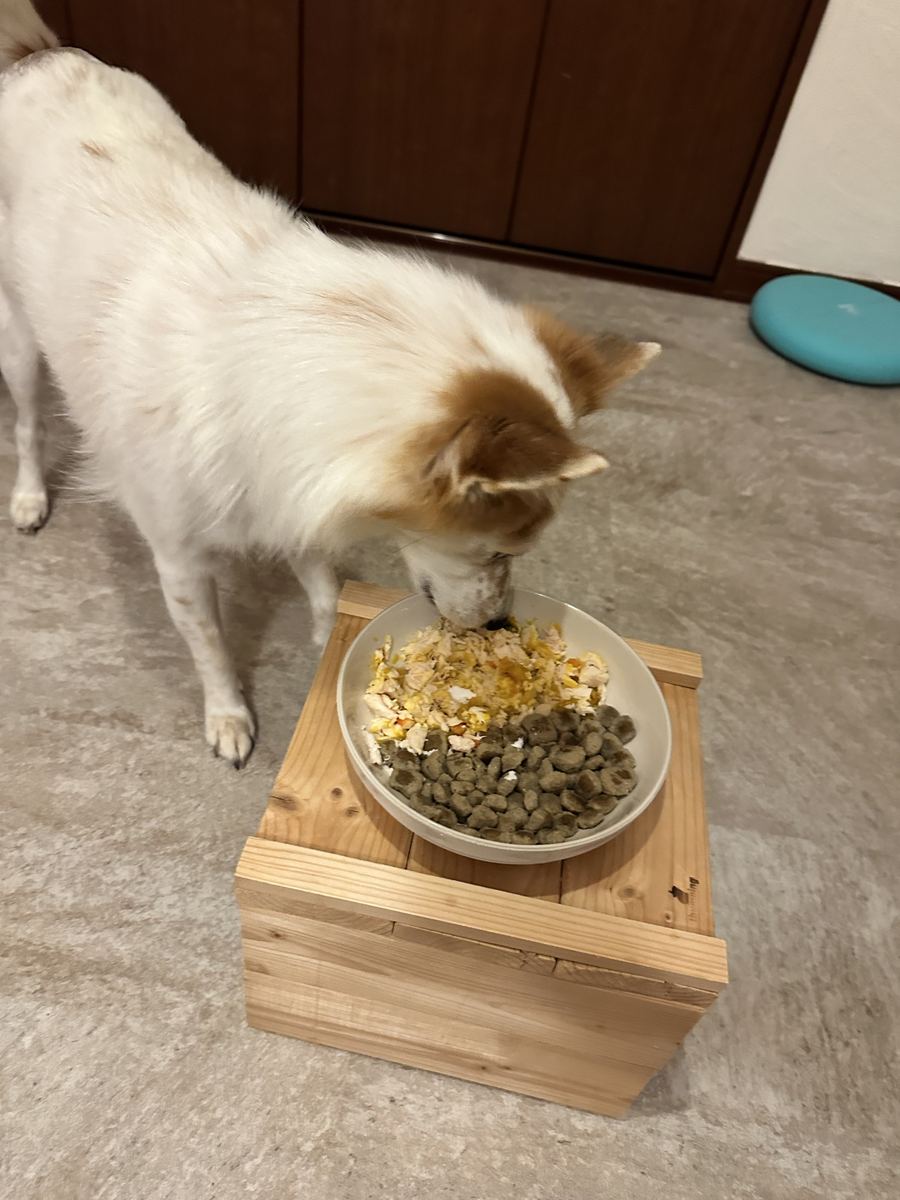 顔ごといった。