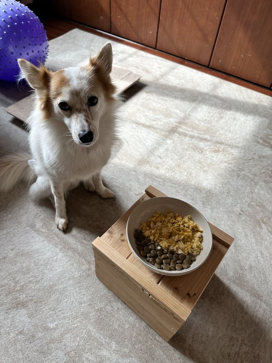 上に乗っとるとこだけ食べて、カリカリは一列に並べて残した。