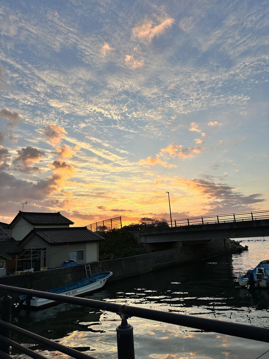 港のうろこ雲が、金色に染まっとった。うちの人が撮ってきた一枚。