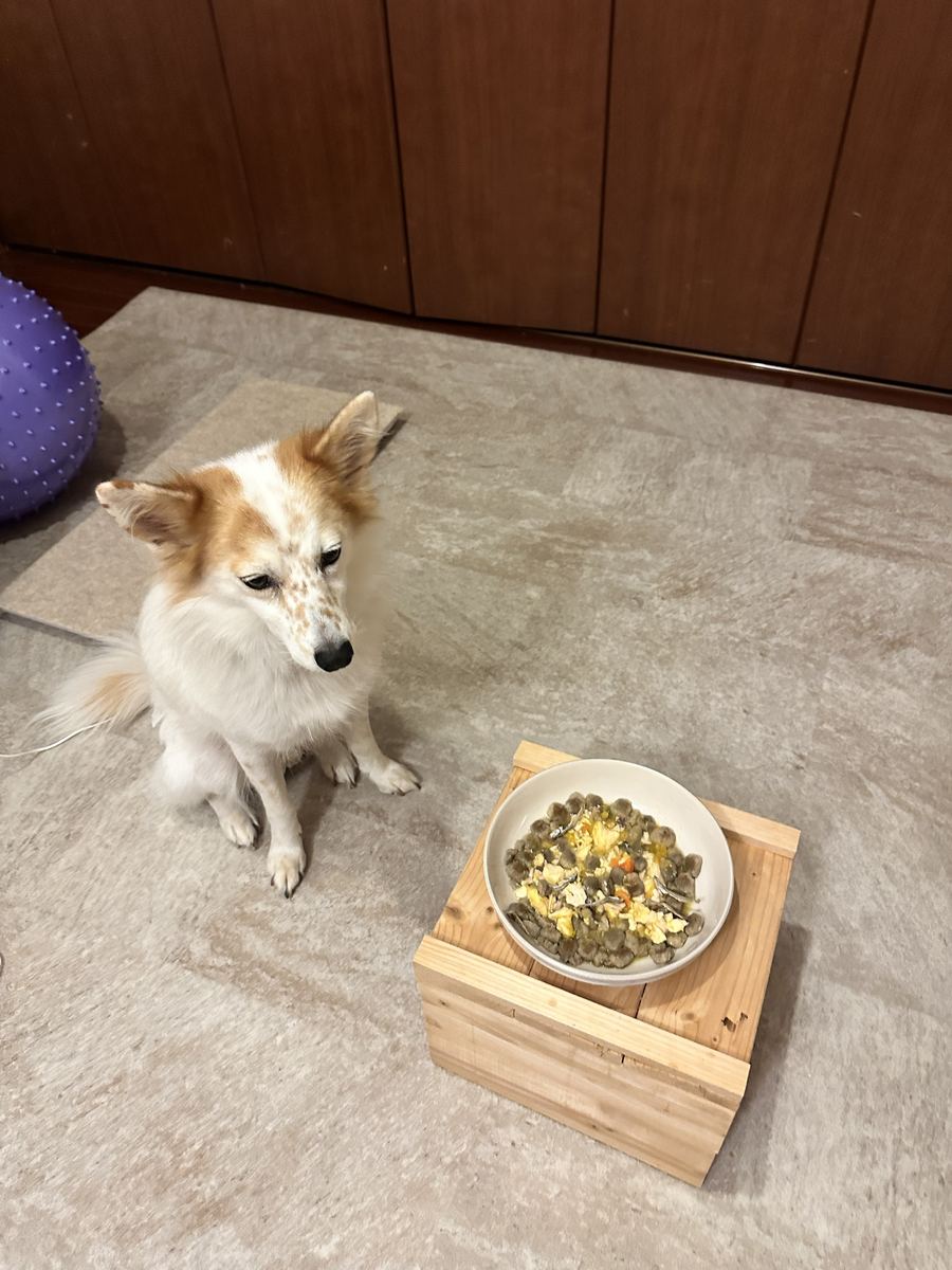 夜ごはん、ぴかぴかに完食。