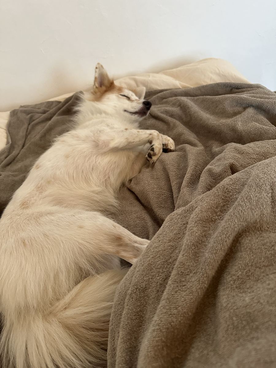 帰ってきて、お水を飲んで、笑った顔のまま眠った。