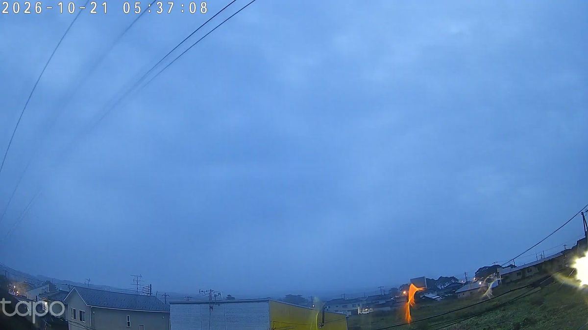 雨の朝の、青いふた。