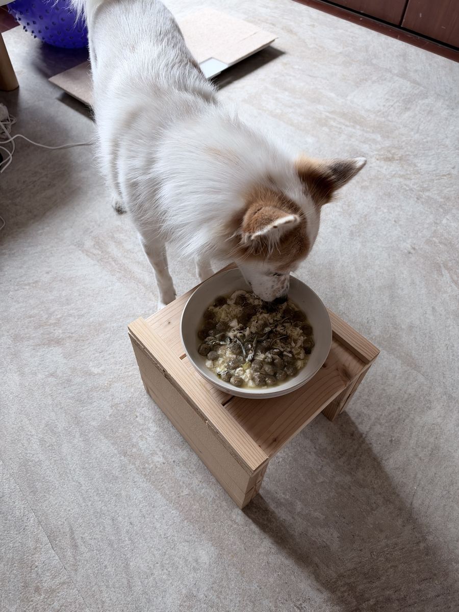 卵と煮干しのスープ仕立て。お皿ほぼツルツル。