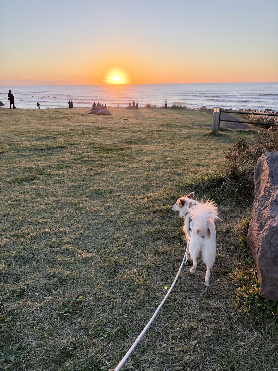海に沈む夕日。山の上には月。