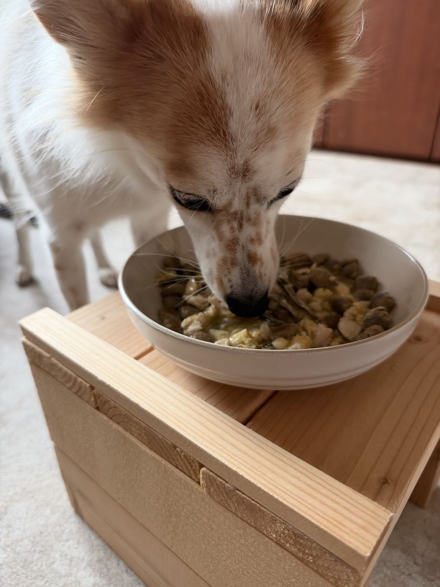月ちゃんの朝ごはん。元気に完食。
