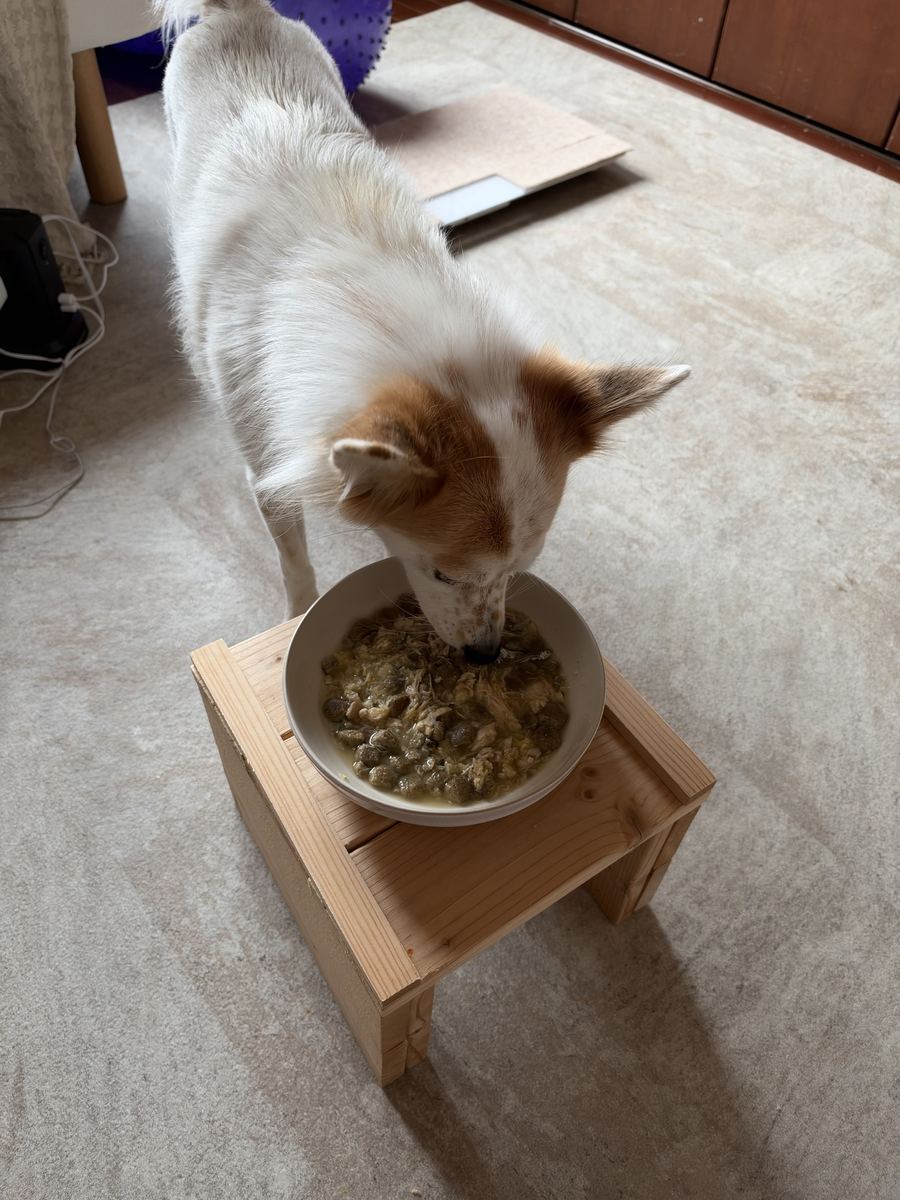 月ちゃんの朝ごはん。汁までなめて、お皿ピカピカ。